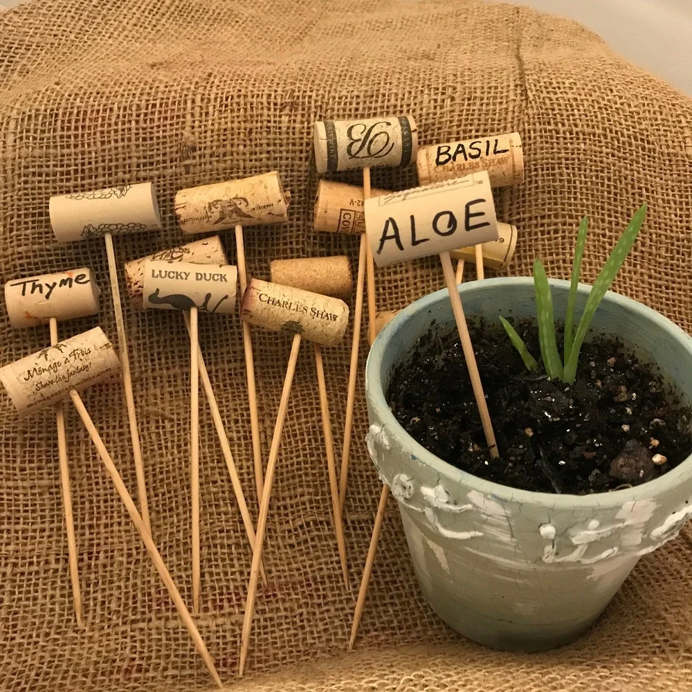 Plant Markers, Herb Labels, Garden Seed Markers, Cute Plant Labels, Set of Five